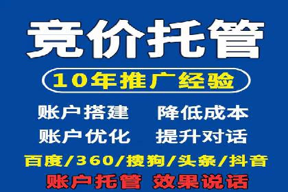 SEM运营公司经典案例点评